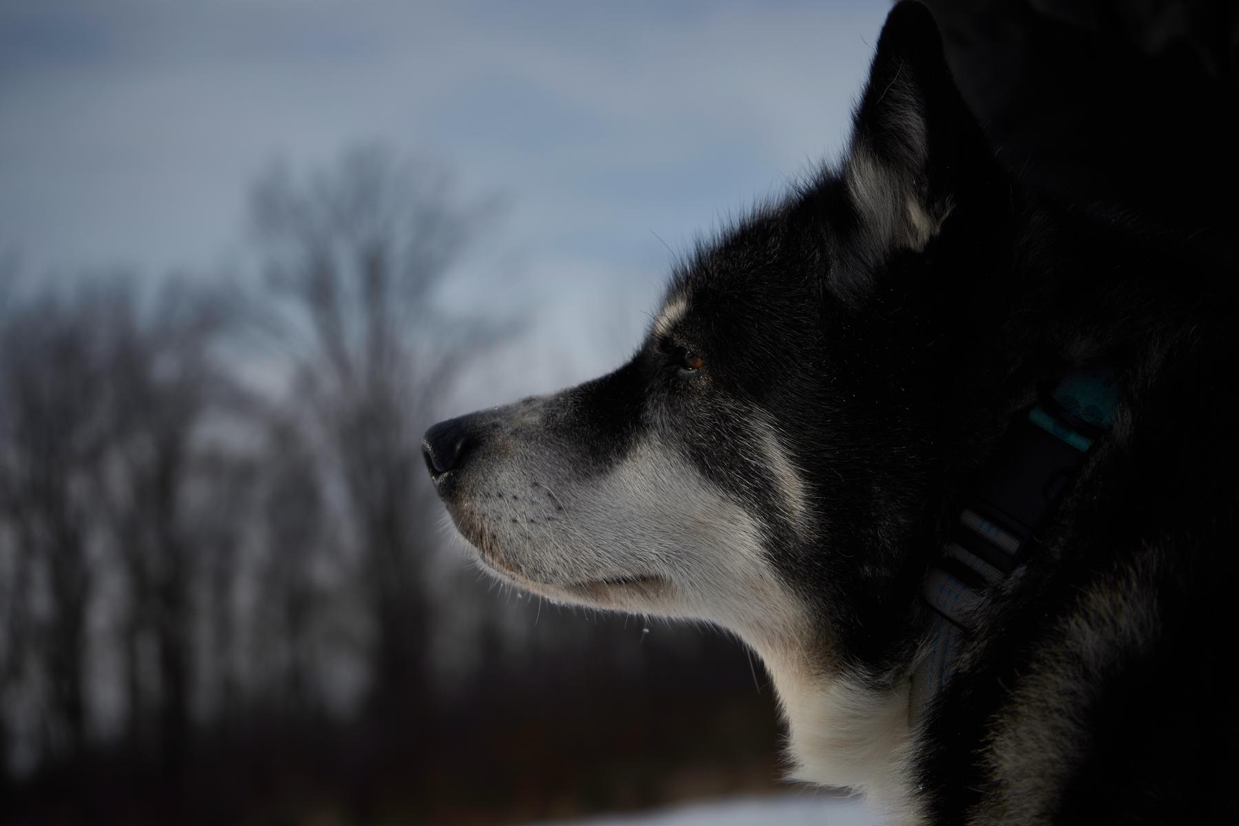 97 North photo album