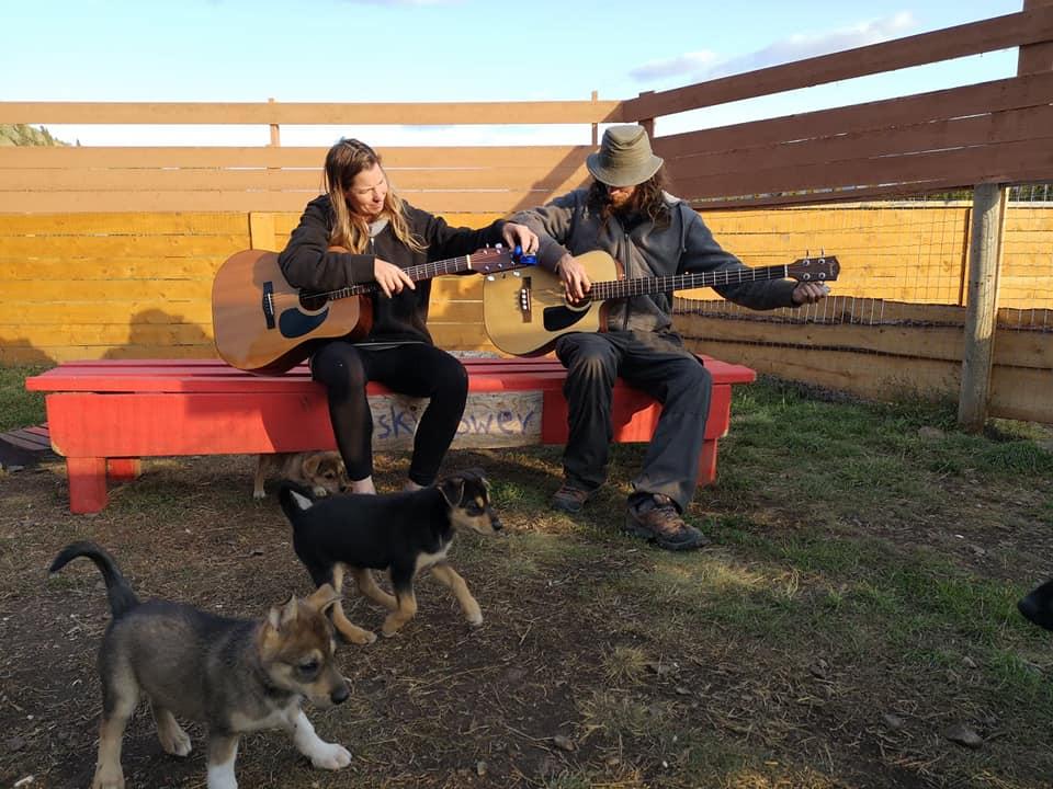Jenn and Matt tuning instruments with puppies